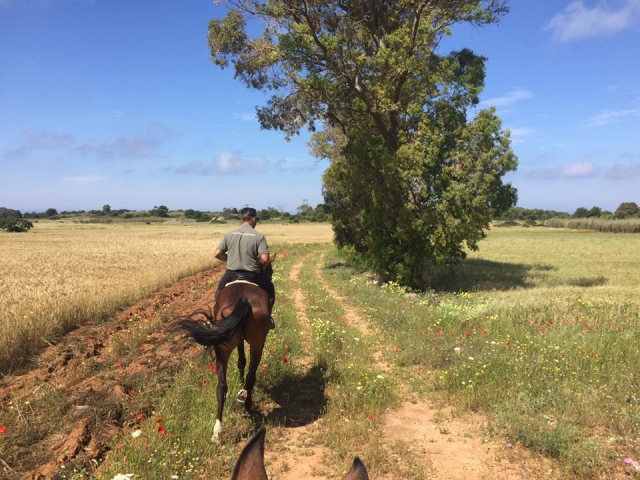 nel campo